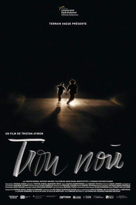    When young skateboarder Vincent meets a vulnerable animal at the bottom of a hole, the encounter will get him to confront his own fears of the unknown.  